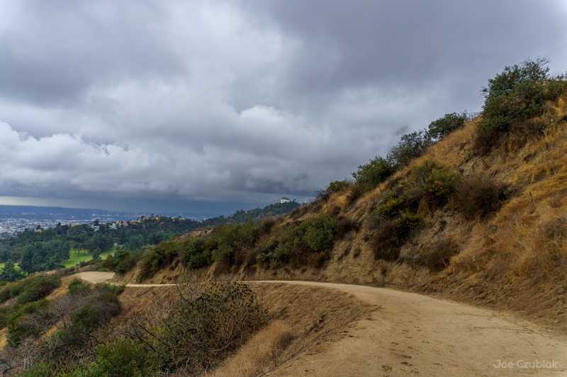 Empty trail in Griffith Park during rain storm
